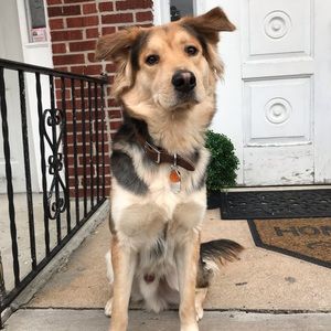 Meet your Posher, Cris